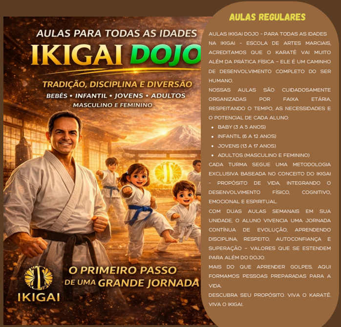 Plano Aulas Regulares – IKIGAI